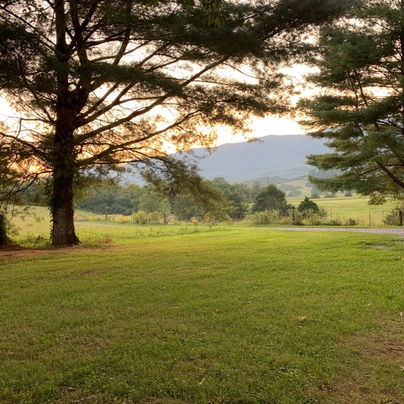 Meet your Posher, Linda - Picture 1 of 1